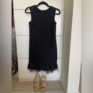 Ann Taylor Black dress with feathers